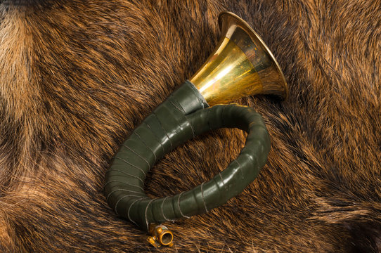 Wildschweinfell mit Jagdhorn