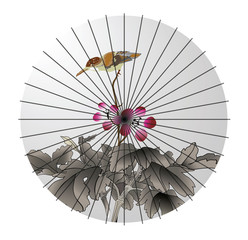 painted japanese paper umbrella