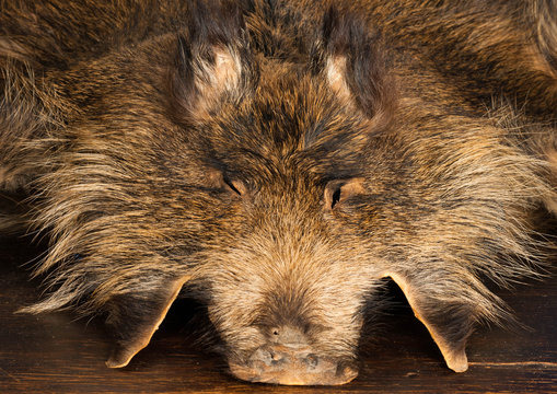 Wildschweinfell
