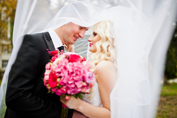 Amazing wedding couple under veil in love