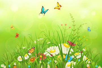 Fototapeta na wymiar Spring or summer nature background with green grass, flowers and butterflies