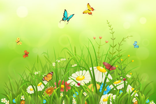 Spring or summer nature background with green grass, flowers and butterflies