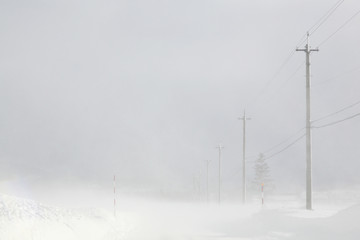 Snowstorm, Near Niseko, Hokkaido, Japan. - obrazy, fototapety, plakaty