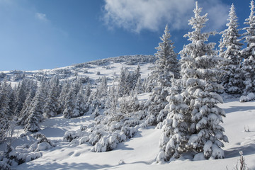 Tatry zachodnie - zima