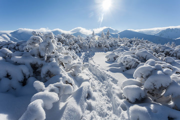 Tatry zachodnie - zima © burasek79