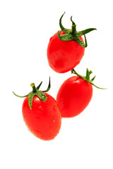 Tomato on white background