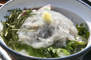 Nama-Shirasudon, Japanese food