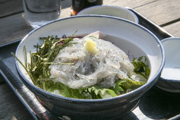 Nama-Shirasudon, Japanese food