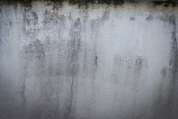 Fototapeta premium cement texture background ,Abstract background