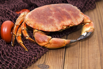 Red crab on wood