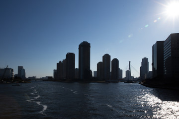Obraz premium 隅田川と高層ビル群のシルエット