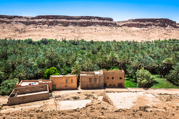 A village at an oasis at the bottom of a canyon in the Atlas mou
