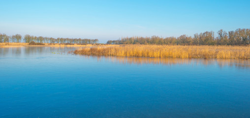 Naklejka na ściany i meble Shore of a lake in sunlight in winter