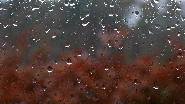 raindrop on a window