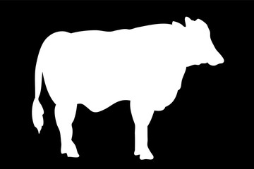vector white Silhouette Beef, at black background
