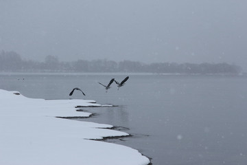 Naklejka premium 湖の雪景色