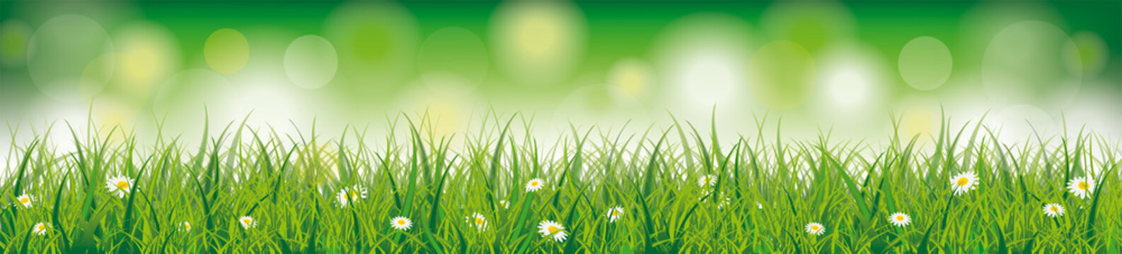 Easter Spring Background Header