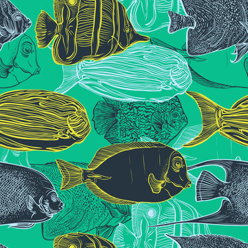Fototapeta Wzór z kolekcji ryb tropikalnych. Vintage zestaw ręcznie rysowane fauny morskiej. Ilustracja wektorowa w stylu sztuki linii. Projekt na lato plaża, dekoracje.