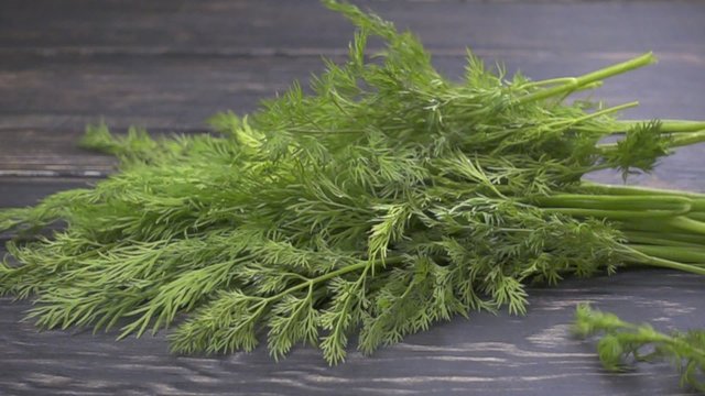 Falling dill (fennel) sprigs on wooden background. Slow motion