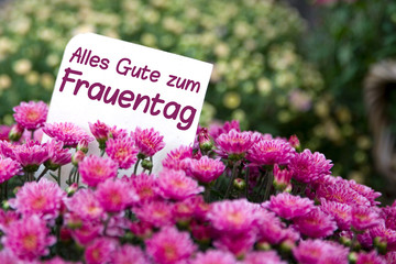 Bilder und Videos suchen: weltfrauentag