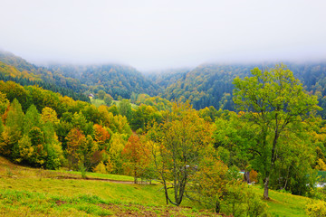 Fog in autumn Carpathian