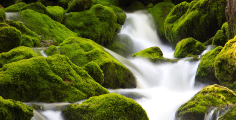 Fototapeta premium wodospad