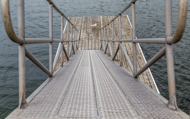 Metal Ramp to Pier with Seagull
