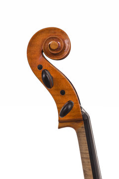 Cello detail "Riccio"