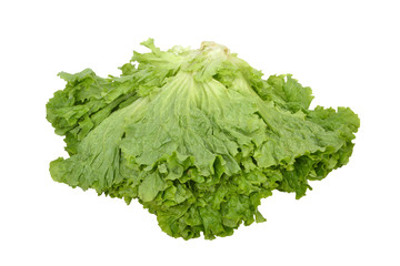 Green fresh lettuce as background.