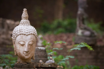 buddha statue in wat umong, chiang mai, travel thai temple