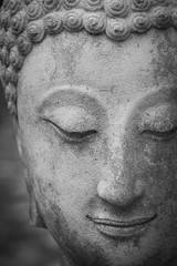 Fototapeta premium buddha statue in wat umong, chiang mai, travel thai temple