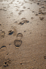 Imprints of shoe soles in the wet sand