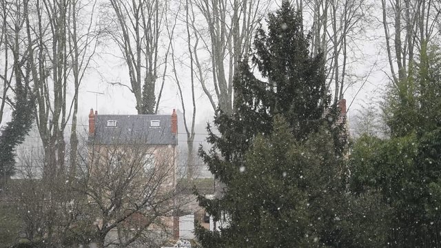 Flocons de neige