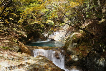 秋　西沢渓谷　川　谷　滝