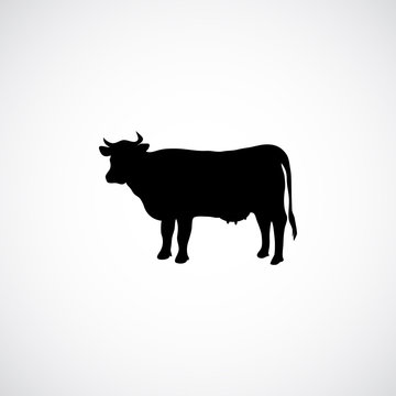 cow  icon