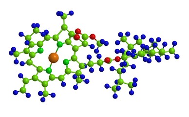 Chlorophyll - molecular structure