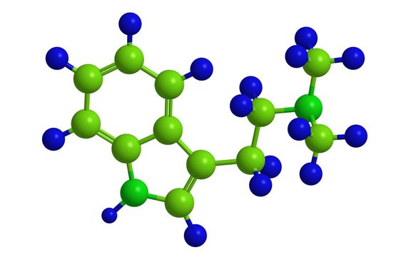 Dimethyltryptamine - molecular structure