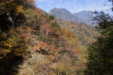 秋　西沢渓谷　川　谷　滝