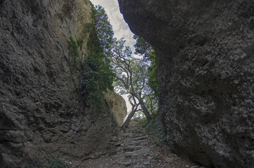 Crimea. View of a narrow gorge.