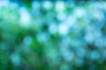 Obraz premium Blurred green lights circular bokeh abstract for Christmas back