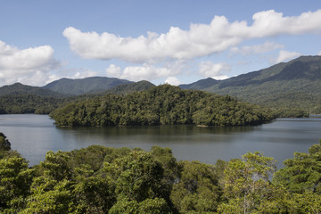 Naklejka premium Lago con isla en el medio y rodeado de bosques. Lago Morris, Cairns, Australia