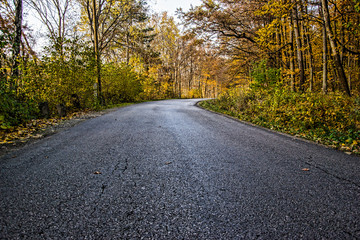 Fototapeta premium autumn forest, forest road, Fall path in forest with leafs,road passing through the forest, path in forest, Fall road in the nature,
