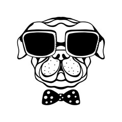 Dog with a bow and glasses isolated in black and white