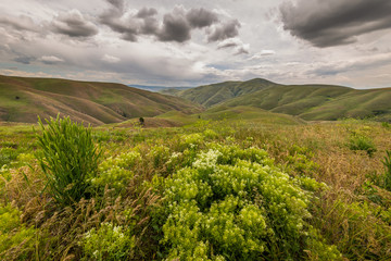 Fototapeta premium Beautiful clouds over green hills, spring. Oregon, Baker County, Lookout Mountain rd
