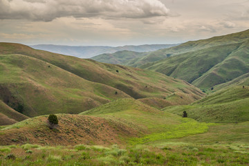 Green hills, Oregon, Baker County, Lookout Mountain rd