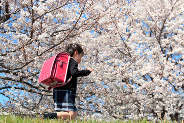 桜並木を走る新一年生