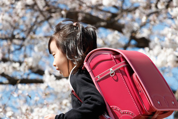 桜並木を走る新一年生