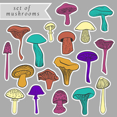 Fototapeta na wymiar Set of different hand drawn varicolored mushrooms in bright tones. Can be used as stickers.