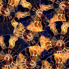 nautilus shell fossil background blue tone