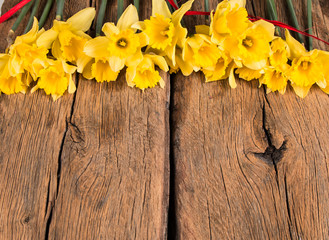 spring narcissus flowers on wooden background